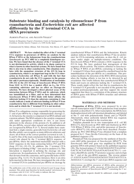 Substrate Binding and Catalysis by Ribonuclease P from Cyanobacteria and Escherichia Coli Are Affected Differently by the 3؅ Terminal CCA in Trna Precursors