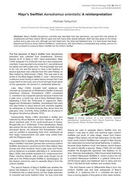 Mayr's Swiftlet Aerodramus Orientalis: a Reinterpretation