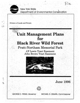 Black River Wild Forest Unit Management Plan