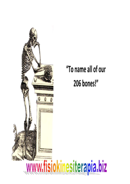“To Name All of Our 206 Bones!” Appendicular & Axial Skeleton Parietal Bone Axial Frontal Bone Temporal Bone Skull Zygomatic Bone Maxilla Occipital Bone Mandible Fig