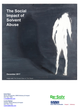 The Social Impact of Solvent Abuse, and Much Less Is Understood About the Financial Costs of That Impact to Individuals, Their Families, and to Wider Society