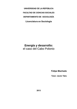 Energía Y Desarrollo: El Caso Del Cabo Polonio