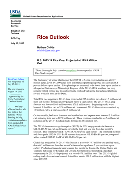 Rice Outlook