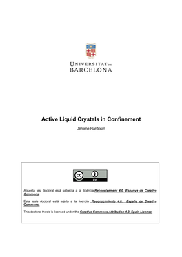 Active Liquid Crystals in Confinement