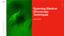 Scanning Electron Microscopy Techniques