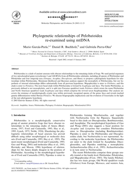 Phylogenetic Relationships of Pelobatoidea Re-Examined Using Mtdna