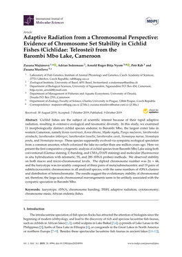 Adaptive Radiation from a Chromosomal Perspective: Evidence of Chromosome Set Stability in Cichlid Fishes (Cichlidae: Teleostei) from the Barombi Mbo Lake, Cameroon