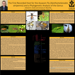 The First Recorded Host for the Assassin Fly (Xanthomelanodes Atripennis) and a Phylogenetic Analysis of the Genus Edward D. Sickle and Jeremy D