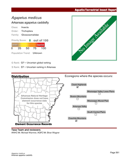 Aquatic/Terrestrial Insect Report