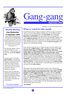 Gang-Gang September 2006.Pub