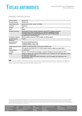 PRODUCT SPECIFICATION Anti-GJA10 Product