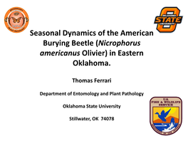 Seasonal Dynamics of the American Burying Beetle (Nicrophorus Americanus Olivier) in Eastern Oklahoma