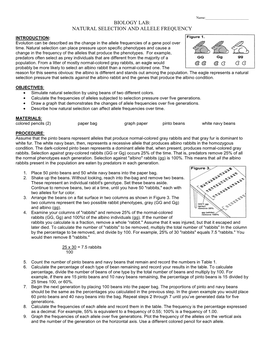 Biology Lab: Natural Selection and Allele Frequency