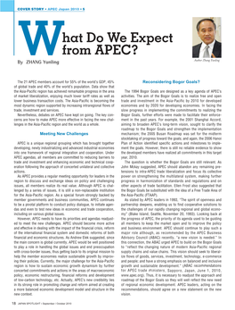 What Do We Expect from APEC?