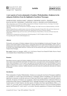 Zootaxa, a New Species of Worm Salamander