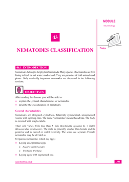 43 Nematodes Classification