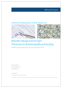 Between Deluge and Drought: the Future of US Bank Liquidity and Funding Rebalancing the Balance Sheet During Turbulent Times