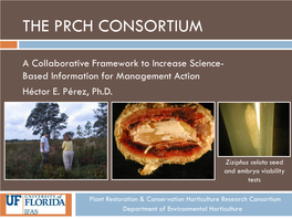 The Prch Consortium