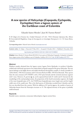 A New Species of Halicyclops (Copepoda, Cyclopoida, Cyclopidae) from a Lagoon System of the Caribbean Coast of Colombia