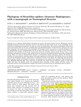 Phylogeny of Sicariidae Spiders (Araneae: Haplogynae), with a Monograph on Neotropical Sicarius