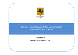 Piano Metropolitano Di Protezione Civile