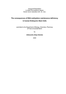 The Consequences of DNA Methylation Maintenance Deficiency in Human Embryonic Stem Cells