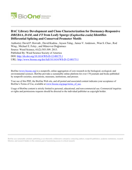 BAC Library Development and Clone Characterization for Dormancy