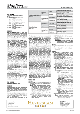 PEDIGREE 1000-1600M, Gr1 Golden Horseshoe, Gr2 Moofeed Is Kinbred 6X5 Missy Baba X Aimee, Gr2 Flora S