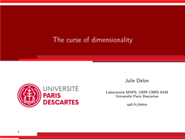 The Curse of Dimensionality