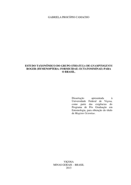 Estudo Taxonômico Do Grupo Striatula De Gnamptogenys Roger (Hymenoptera: Formicidae: Ectatomminae) Para O Brasil