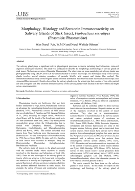 Morphology, Histology and Serotonin Immunoreactivity on Salivary Glands of Stick Insect, Phobaeticus Serratipes (Phasmida: Phasmatidae)