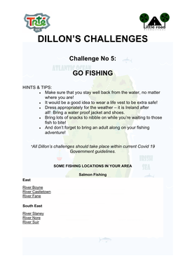 Dillon's Challenges