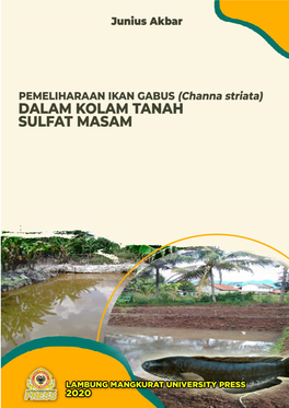 Pemeliharaan Ikan Gabus Channa Striata Dalam Kolam Tanah Sulfat Masam” Ini Tanpa Hambatan Yang Berarti