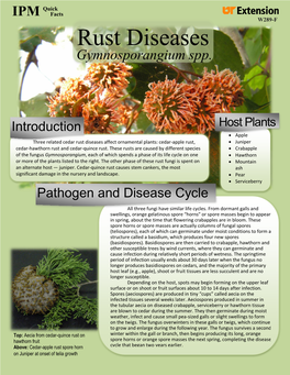 Rust Diseases