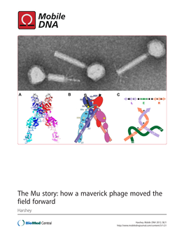 VIEW Open Access the Mu Story: How a Maverick Phage Moved the Field Forward Rasika M Harshey