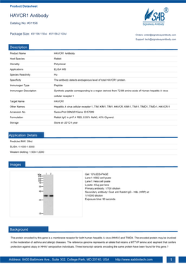 HAVCR1 Antibody