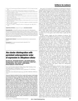 Hox Cluster Disintegration with Persistent Anteroposterior Order Of