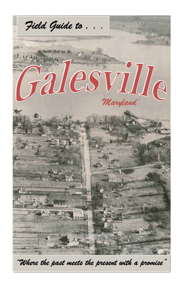 Field Guide to Galesville