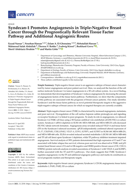 Syndecan-1 Promotes Angiogenesis in Triple-Negative Breast Cancer Through the Prognostically Relevant Tissue Factor Pathway and Additional Angiogenic Routes