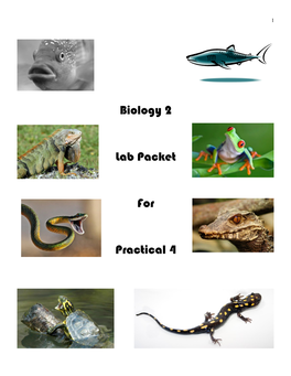 Biology 2 Lab Packet for Practical 4