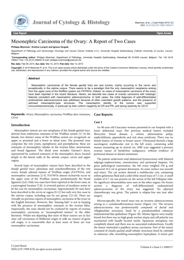 Mesonephric Carcinoma of the Ovary