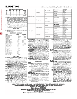 IL POSTINO 2006 Gray Or Roan - Height 16.2 - Dosage Profile: 6-2-7-0-1; DI: 2.56; CD: +0.75