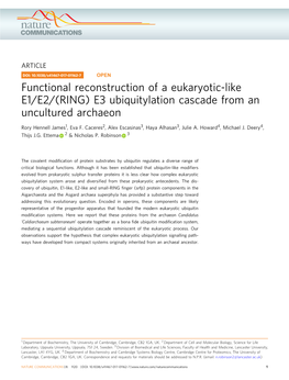 Functional Reconstruction of a Eukaryotic-Like E1/E2/(RING) E3 Ubiquitylation Cascade from an Uncultured Archaeon