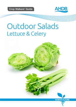 Outdoor Salads Lettuce & Celery Outdoor Salads Crop Walkers’ Guide Guideguideintroduction