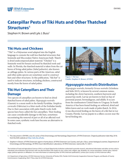 Caterpillar Pests of Tiki Huts and Other Thatched Structures1 Stephen H