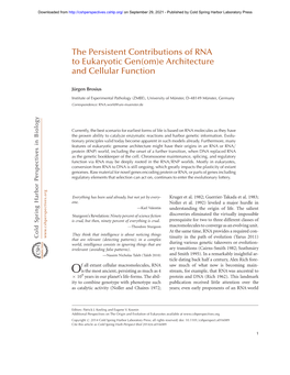 The Persistent Contributions of RNA to Eukaryotic Gen(Om)E Architecture and Cellular Function