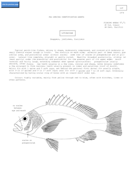 LUTJANIDAE Snappers, Jobfishes, Fusiliers Typical Perch-Like Fishes