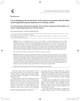 Use of Sleeping Perches by the Lizard Anolis Uniformis (Squamata: Polychrotidae) in the Fragmented Tropical Rainforest at Los Tuxtlas, Mexico