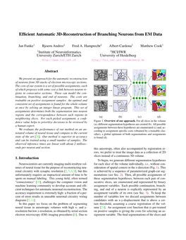 Efficient Automatic 3D-Reconstruction of Branching Neurons from EM Data