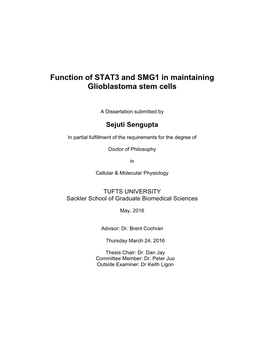 Function of STAT3 and SMG1 in Maintaining Glioblastoma Stem Cells !